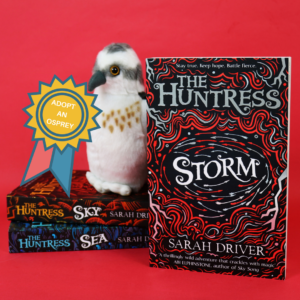 Storm competition prize image